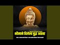 Bhimane dilela buddha aathava