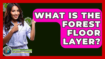 What Is The Forest Floor Layer? - Earth Science Answers