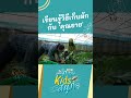 เรียนรู้วิธีเก็บผักกับ 'คุณยาย' | ภารกิจKIDSสนุก HIGHLIGHT