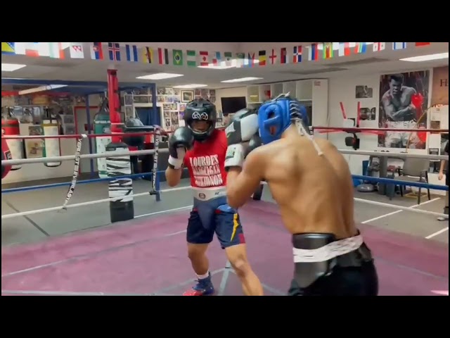 Daniel Lim and Emiliano Vargas sparring at Capetillo Boxing Gym Las Vegas. class=