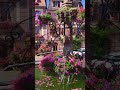 Ref:utRGmSJm98U Bergheim, france #beautiful #garden #shorts #viral #trending #video