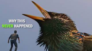 Why birds never grew to the size of dinosaurs