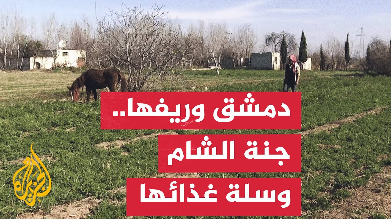 سوريا.. تراجع كبير في الإنتاج الزراعي لغوطة دمشق بسبب سياسة النظام المخلوع