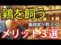 まだ鶏飼われていない方必見！鶏を飼う３つのメリットを養鶏家がお話します【自然卵養鶏法】