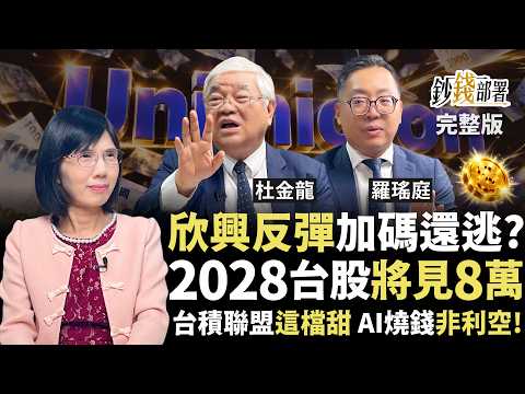 欣興反彈該加碼還是逃？亂進場恐接刀 台積電聯盟中砂甜 2028台股見8萬《鈔錢部署》盧燕俐 ft.杜金龍 羅瑤庭 20260910