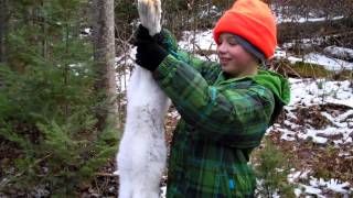 Snowshoe Hare - Wasi Lake, North Bay Canada