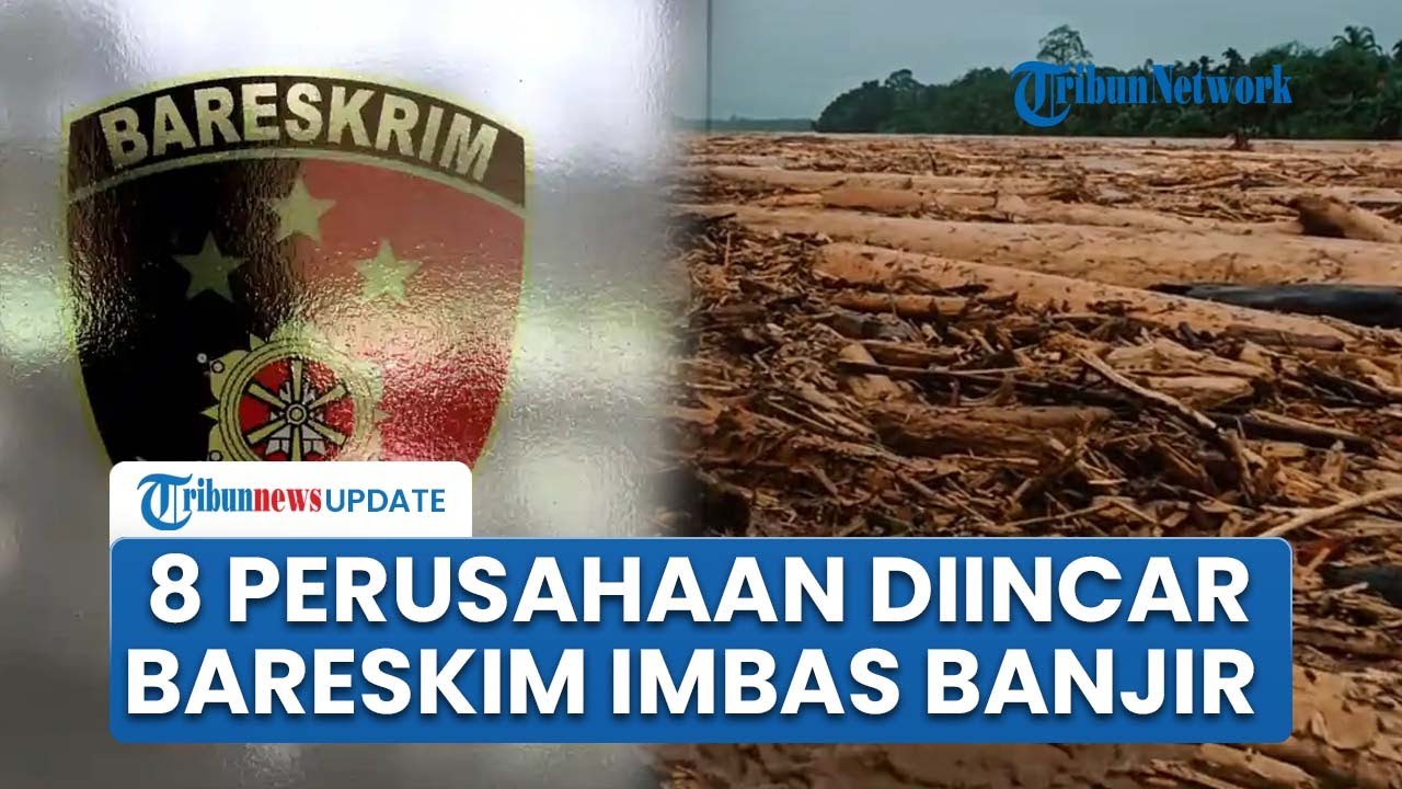 8 Perusahaan Diincar Bareskrim Terkait Kayu Gelondongan Diduga Penyebab Banjir Sumatera