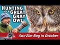 Hunting Great Gray Owl only feet away! Sax-Zim Bog Virtually Live 39: S4E4