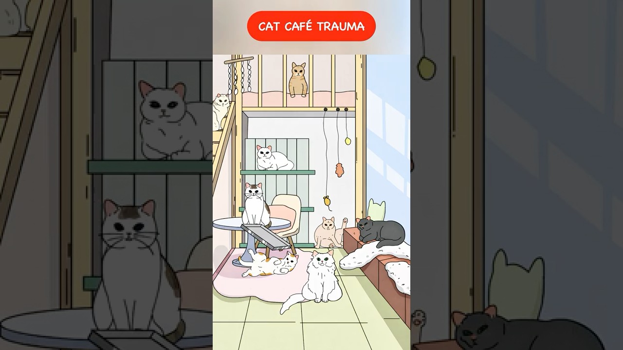 Cat Café Trauma 