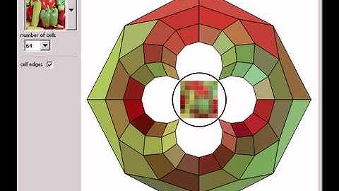 Conical Anamorphic Projection of Photographic Images