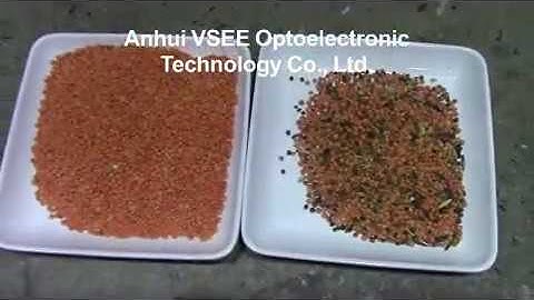 Lentil color sorting machine