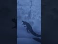 My Teammate died. I had to finish solo.