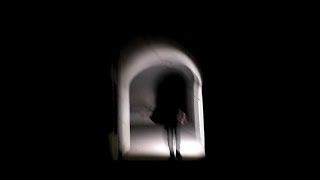 LIFELINE - Mind Palace [Teaser]