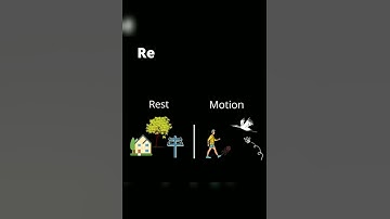 Rest and Motion | VirtuousOrg | Virtuous Org