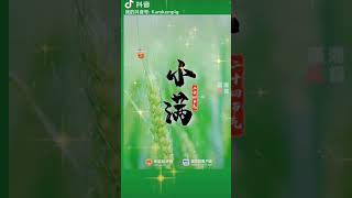 今天是「小滿」節氣，是二十四節氣中夏季的