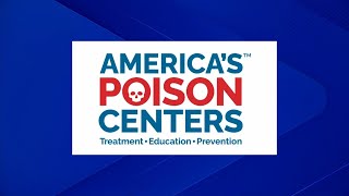 Poison Prevention Week: How to avoid accidental poisonings