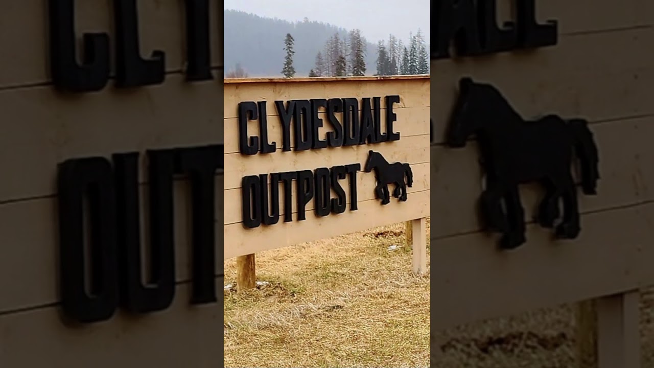 Meet Clydesdale Outpost - Discover Kalispell Montana 