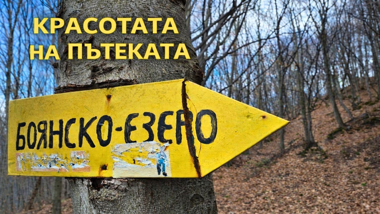 Укромные уголки вдоль тропы к озеру Бояна (виртуальная прогулка в формате 4K)