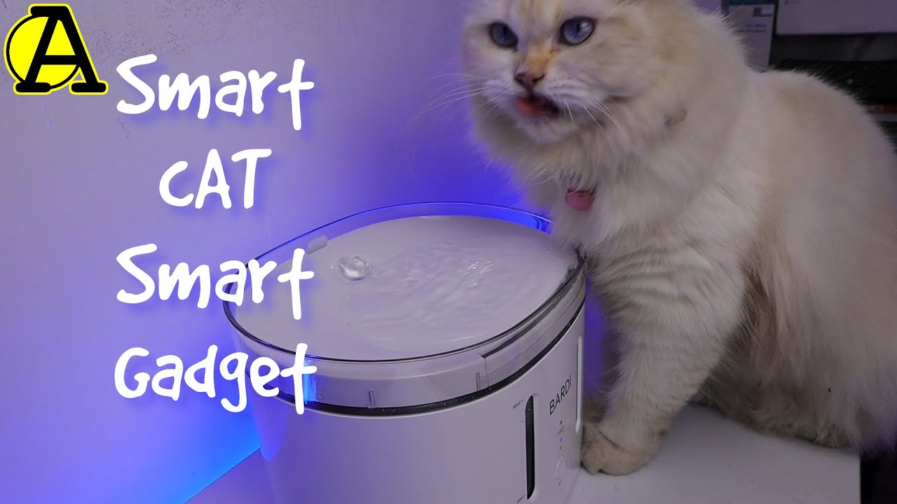 BUKA KOTAK : Bardi Smart Pet Water Fountain (Indonesia)