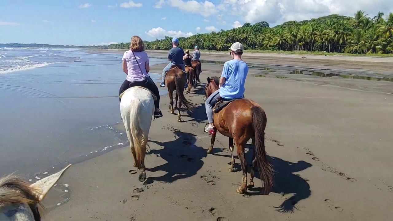 Horseback Riding On The Beach Costa Rica Paradise! YouTube