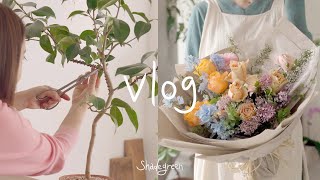 ENG / flower shop vlog | 봄, 꽃 그리고 식물, 봄의 일상을 담은 꽃집 브이로그