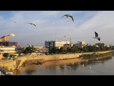 جسرالهلالی علی کارونی