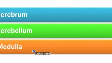 5th class  Science Skeletal System and Nervous System TS 4