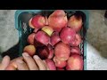 bulk apple purchase check