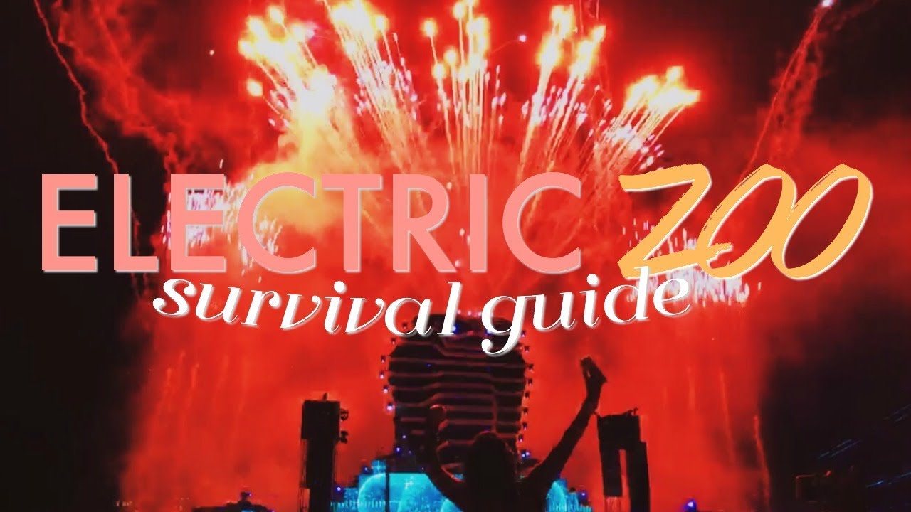 HOW TO SURVIVE E ZOO / MY EXPERIENCE: ELECTRIC ZOO 2016