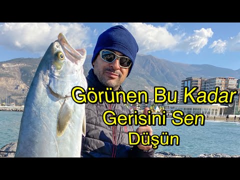 Canlı kefalle balık avı ! İskenderunlular Gözlerine İnanamadı !