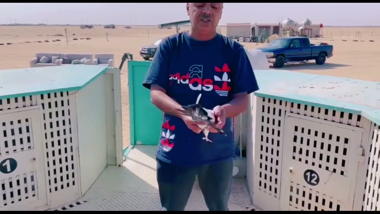 بيع برجين 12 خانه برج 10وحمام 236 طير حمام المرحوم صالح العنيزي بوسليمان