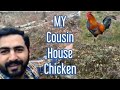 My cousin house have chicken in america  adeel danish  vlogs 