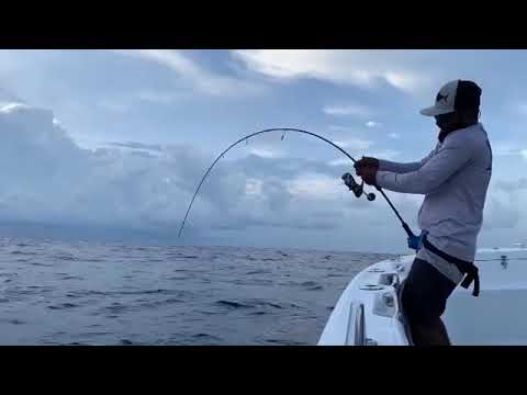 مركزالهوري الادوات صيدالاسماك