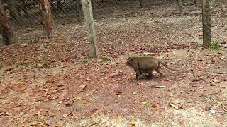 Video e5c19549 637d 4ca7 ad57 e5c174138f5c
