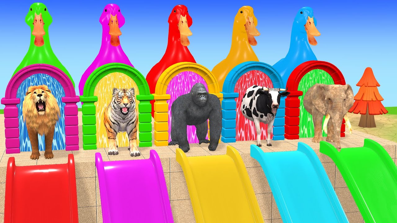 Long Slide Game With Cow Elephant Gorilla Hippopotamus Tiger 3d Animal Game Funny 3d Animals