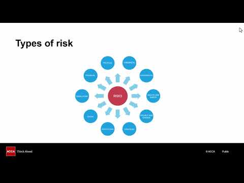 SBL Topic Explainer: Risk Strategy and Identification
