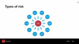 SBL Topic Explainer: Risk Strategy and Identification