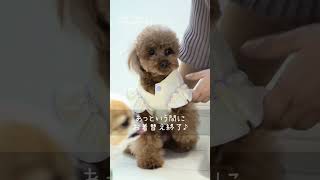 iDog fleur MOSCAPEくまさんタンク 防蚊 アイドッグ-犬猫用品通販 IDOG&ICA