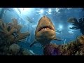 Aquarist for a day at the new england aquarium