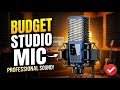 Budget Condenser Mic | Vocals, Podcasting, Guitars, Amps &amp; More BASN BMS2 QUICK LOOK