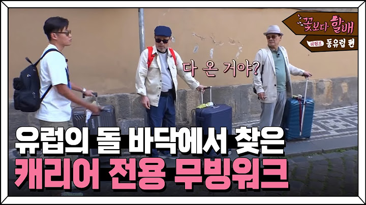 익숙하지 않은 유럽의 돌 바닥에서, 깨리어 끌기에 최적인 장소를 찾은 할배들 ㅋㅋㅋ | #꽃보다할배_동유럽편 EP3-9