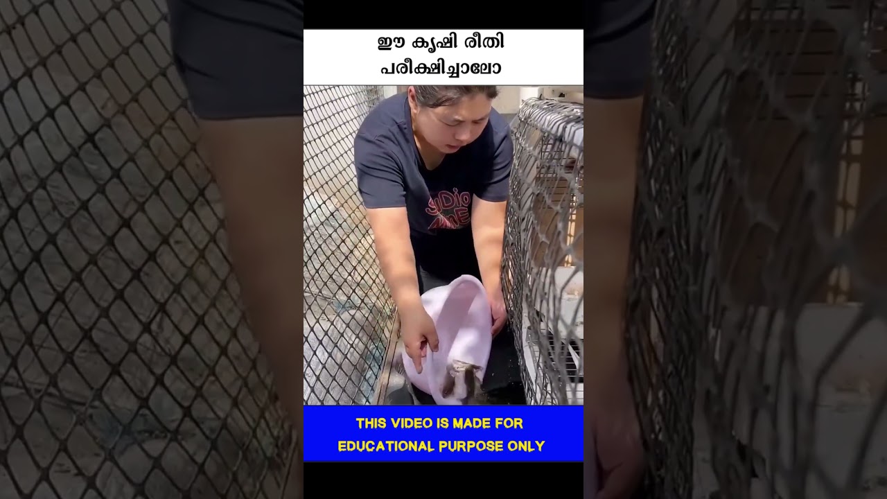 Почему бы не попробовать этот метод ведения сельского хозяйства? 