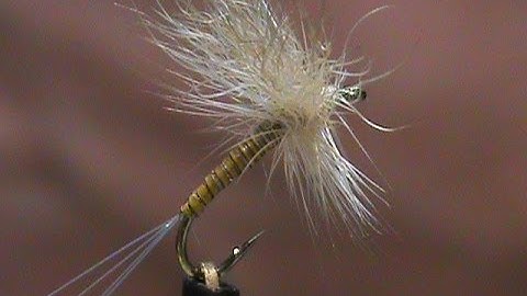 Beginner Fly Tying a Quill Body Sulpher with Jim Misiura