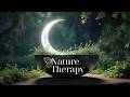Tibetan Bowl & Natural Earth Sound Therapy for Renewal & Energy Restoration | Frequency Meditation