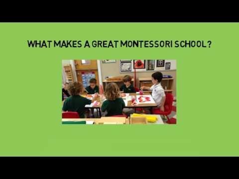 Montessori Seeds of Education-What makes a great Montessori School?