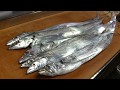 太刀魚をさばく~炙り寿司と刺身、塩焼きの作り方~how to fillet a Cutlassfish and make sushi, sashimi and grilled salt