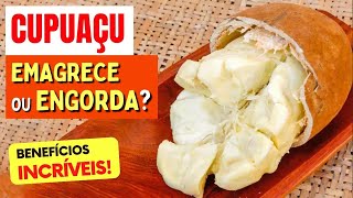 Benefícios Da Cupuaçu Que Todos Deveriam Conhecer Como Usar E Dicas