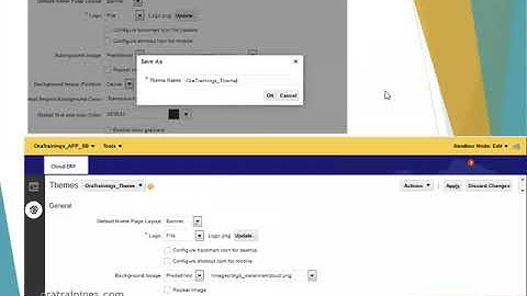 Oracle Cloud ERP - Extensions - Theme Change Using Sandbox