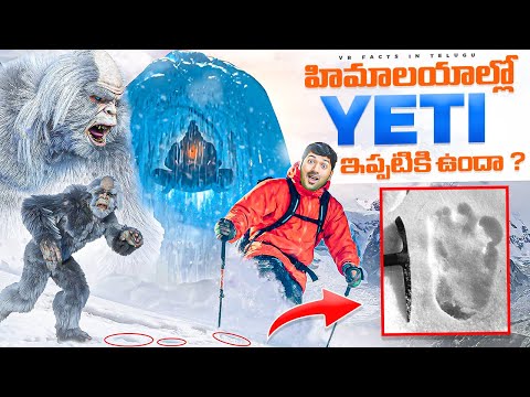 Yeti Really Exists In Himalayas ? 