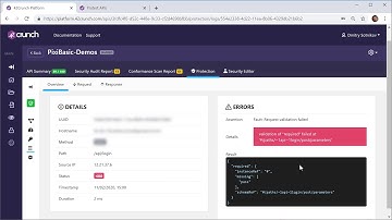 42Crunch API Security Platform: API Protection Reports, Troubleshooting and Settings